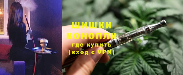 дживик Касимов