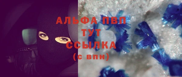 дживик Касимов