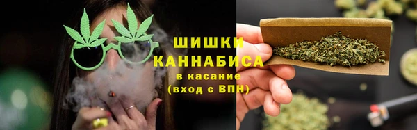 дживик Касимов