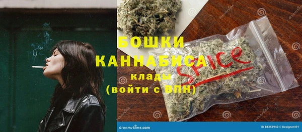 дживик Касимов