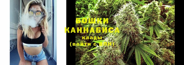 дживик Касимов