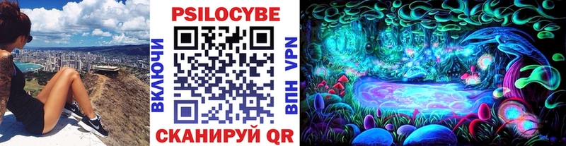 Псилоцибиновые грибы Psilocybe  hydra онион  Мостовской 